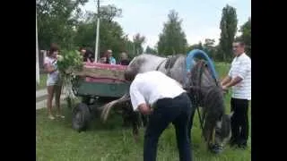 Свадебный юмор.mpg