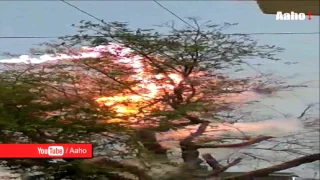 Strange video - How Electric Wires Burn The Tree