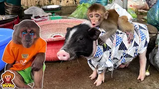 Monkey YoYo JR is very sad when Monkey YiYi hides to market with piglet