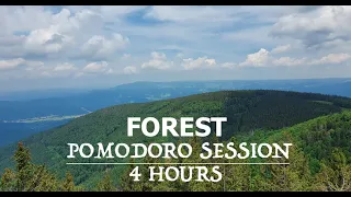 Study in the Forest - Pomodoro Technique | ASMR Study With Music Breaks | 50/10 Session