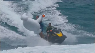SWAN SURFING IS A BAD IDEA!!!
