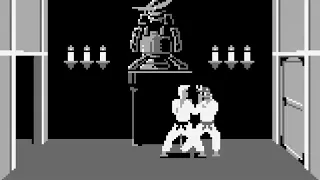 Master Karateka (Game Boy) All Bosses (No Damage)