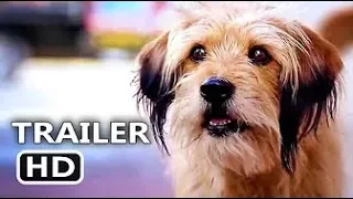 BENJI Trailer (2018) Emotional, Sentimental, Netflix Movie