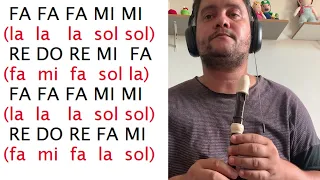 Tocando em Frente - FLAUTA DOCE