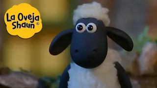 La Oveja Shaun 🐑 Episodios de ovejas felices 🐑 Dibujos animados para niños