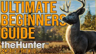 theHunter Call of the Wild || Ultimate Beginners Guide for 2022