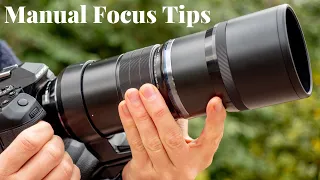 Manual Focus Tips and Settings for Olympus OM-D Micro 4/3 | M. Zuiko 300mm F/4