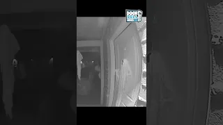 Alien Sighting on Ring Doorbell