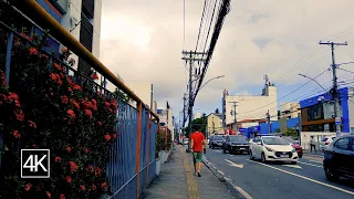 Conhece da ALAMEDA ESPATÓDEAS até a AV PAULO VI? SALVADOR - BAHIA - BRASIL. 4k Experiência.