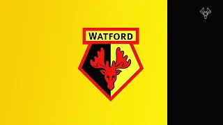 Watford 2-2 West Brom at Vicarage Road