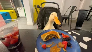 I took my duck to Unregular Bakery