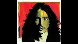 Nothing Compares to you  Chris Cornell