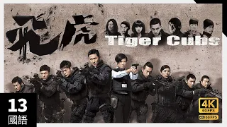 #TVB Drama Tiger Cubs #飞虎 4K 60FPS  13/13｜大结局｜宣萱 罗仲谦 王浩信 黄智雯 马德钟 主演｜TVB  国语中字 #HK
