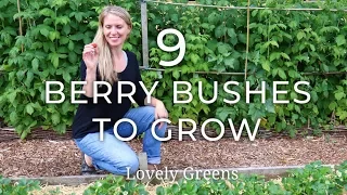 9 Types of Berry Bushes to grow in your Garden