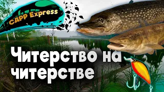 ЧИТЕРСКИЙ экспресс с сомом амурским и щуками / СДРР Express ( Русская рыбалка 4 )