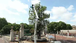 ヘザウィック・スタジオによる、イギリス・ロンドンの「Tree of Trees」