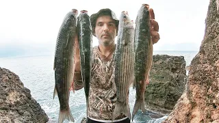 Balık Yakalamak Çok Kolay !!! Kefal Avı ( mullet fish )