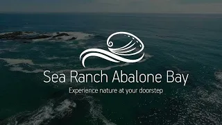Sea Ranch Abalone Bay Welcomes You to the Beautiful Sonoma Coast in California