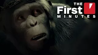 The First 17 Minutes of Planet Of The Apes: Last Frontier