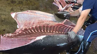 The sharpest knife cut 1000 lb giant bluefin tuna - Incredible bluefin tuna cutting skill