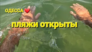 ОДЕССА ❤️ 12 августа ОФИЦИАЛЬНО ПЛЯЖИ ОТКРЫТЫ❗️ПОДВОДНЫЙ МИР❗️ЧИБА В РЮКЗАКЕ❗️