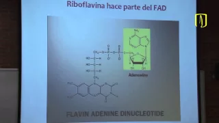 Vitaminas - Carlos Mendivil - Bioquímica Médica