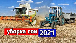 Уборка СОЇ 2021, жнивуємо комбайном Claas Lexion 570, ЮМЗ-6, який урожай?