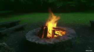 Campfire before dark in the woods. 4K ( 10 Hrs ) 🔥🌳