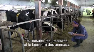 Subtitles for The Code of Practice for the Care and Handling of Farm Animals