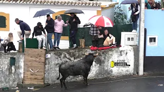 03-05-2024 Tourada do Donato Fonte da Ribeirinha Ganadeiro JAF