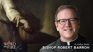 Bishop Barron on Nature and Grace
