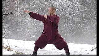 八段锦----五行气功（武当Wudang少林Shaolin）