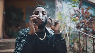 STYLO G - DUMPLING (OFFICIAL VIDEO)