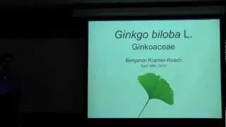 Ginkgo biloba (Ginkgo)