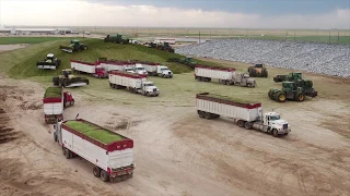 PMS & Harvesting clamping 1200 tonnes per hour in Texas