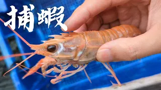 Shrimp fishing operations in trawling fisheries off the coast of Taiwan.