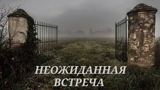 /Страшные истории/Неожиданная встреча/#missmistic#истории#мистика#хоррор