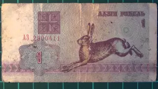Обзор банкнота БЕЛАРУСЬ, 1 рубль, 1992 год, зайчик, бона, бонистика, купюра, нумизматика, коллекция