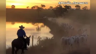 Chitãozinho e Xororó - 60 Dias Apaixonado (LETRA)