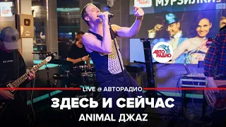Animal ДжаZ - Здесь и Сейчас (LIVE @ Авторадио)