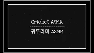 ASMR ✩⡱ 잠이 안올때 듣는, 2시간 연속 재생, 집중 잘되는 소리, 밤소리, 귀뚜라미소리, cricket, Ambient music,앰비언트,  수면유도, 시골,  백색 소음