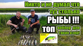 Не думал что в этом озере столько РЫБЫ!!! ТОП воблер для таких озёр Magallon. Рыбалка на спиннинг