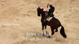 Diego Ventura et le travail des chevaux.