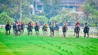 KRUBNAI wins by a nose! - 12/05/2024 - Race 8 - Division 1