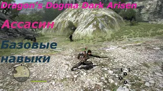 Dragon's Dogma Dark Arisen.Ассасин, обзор базовых навыков.