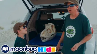 Huida Divertida con Dinosaurios Juguetes para Niños | Dinosaurio videos para Niños | Moonbug Kids