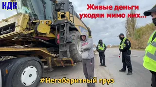 Гуси с полиции обступили добычу. Охота на негабарит!