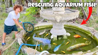 Rescuing AQUARIUM FISH From GREEN SLIME POND!