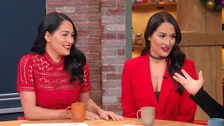 Total Bellas Star Nikki Bella On What Single Life Is Like