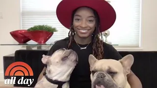 Simone Biles’ Frenchies Provide Comfort And Laughs While She Trains | TODAY All Day